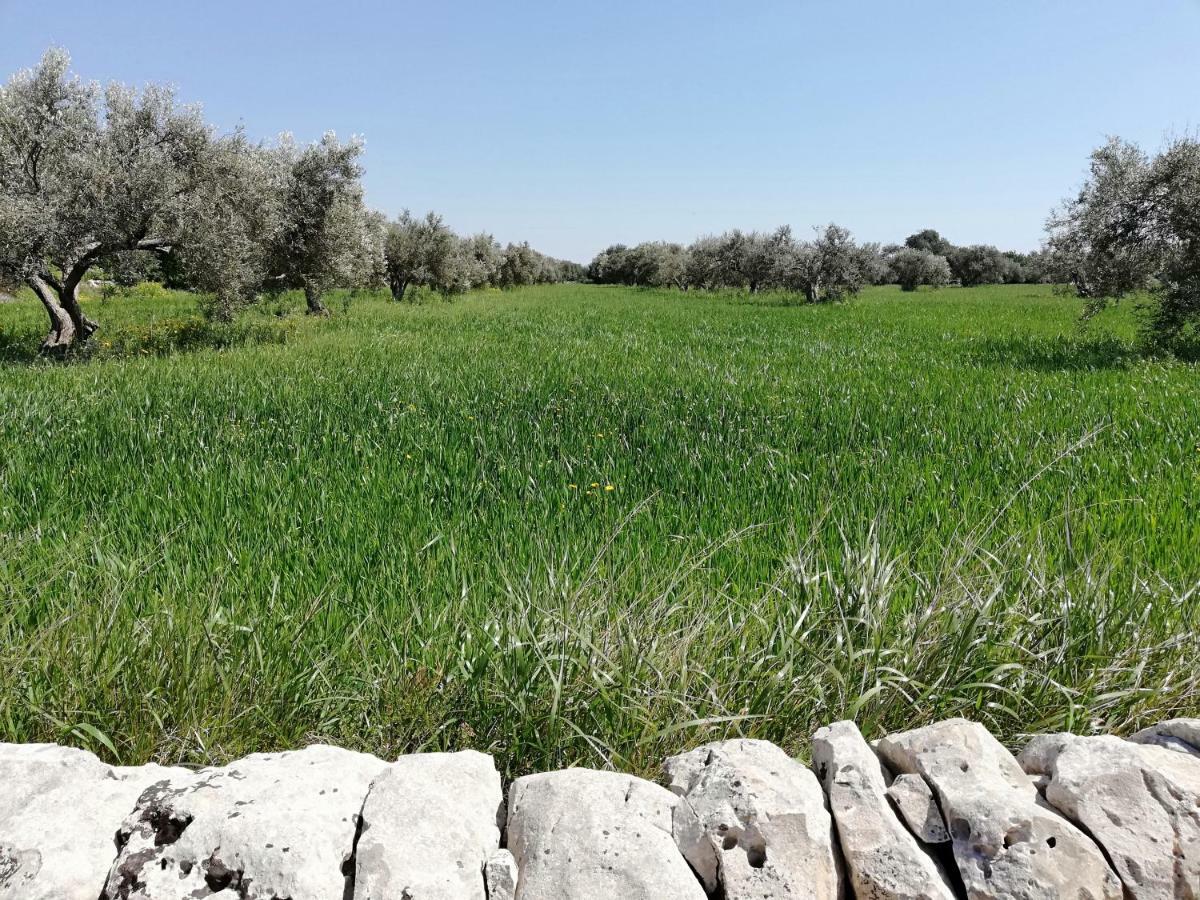 La Dimora Del Decano Βίλα Scicli Εξωτερικό φωτογραφία